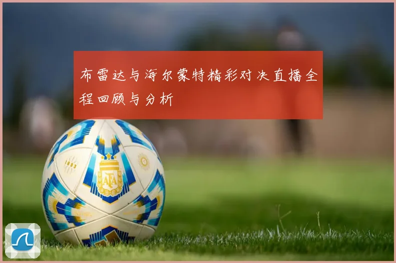 布雷达与海尔蒙特精彩对决直播全程回顾与分析