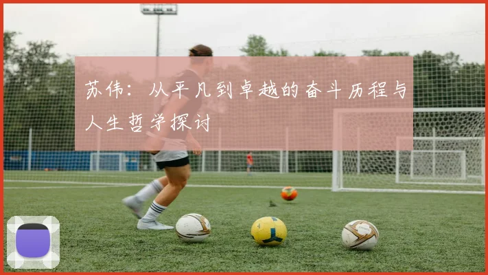 苏伟：从平凡到卓越的奋斗历程与人生哲学探讨