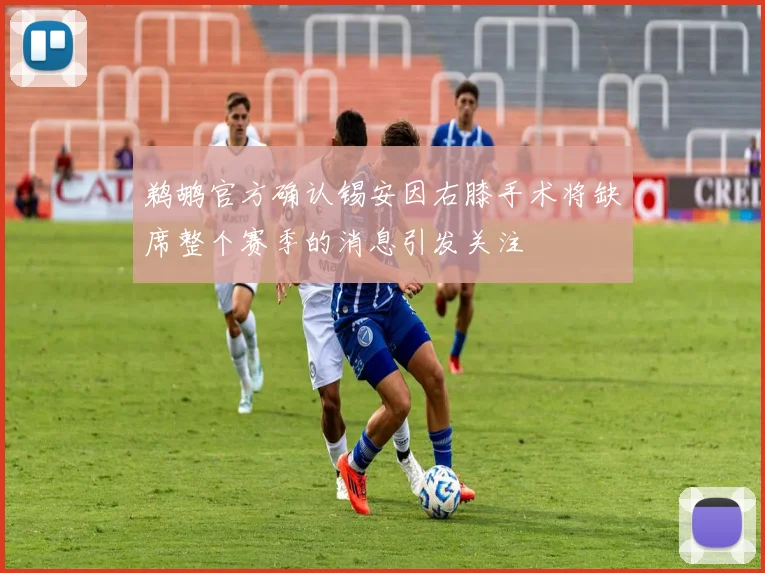 鹈鹕官方确认锡安因右膝手术将缺席整个赛季的消息引发关注