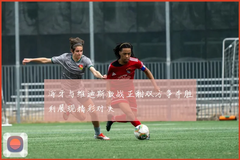 海牙与维迪斯激战正酣双方争夺胜利展现精彩对决