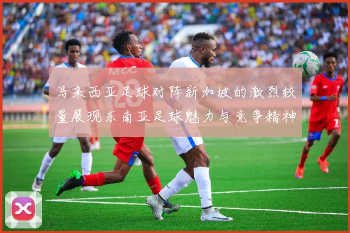 马来西亚足球对阵新加坡的激烈较量展现东南亚足球魅力与竞争精神