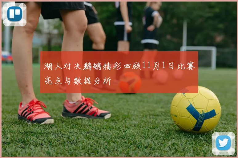 湖人对决鹈鹕精彩回顾11月1日比赛亮点与数据分析