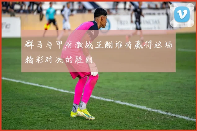 群马与甲府激战正酣谁将赢得这场精彩对决的胜利